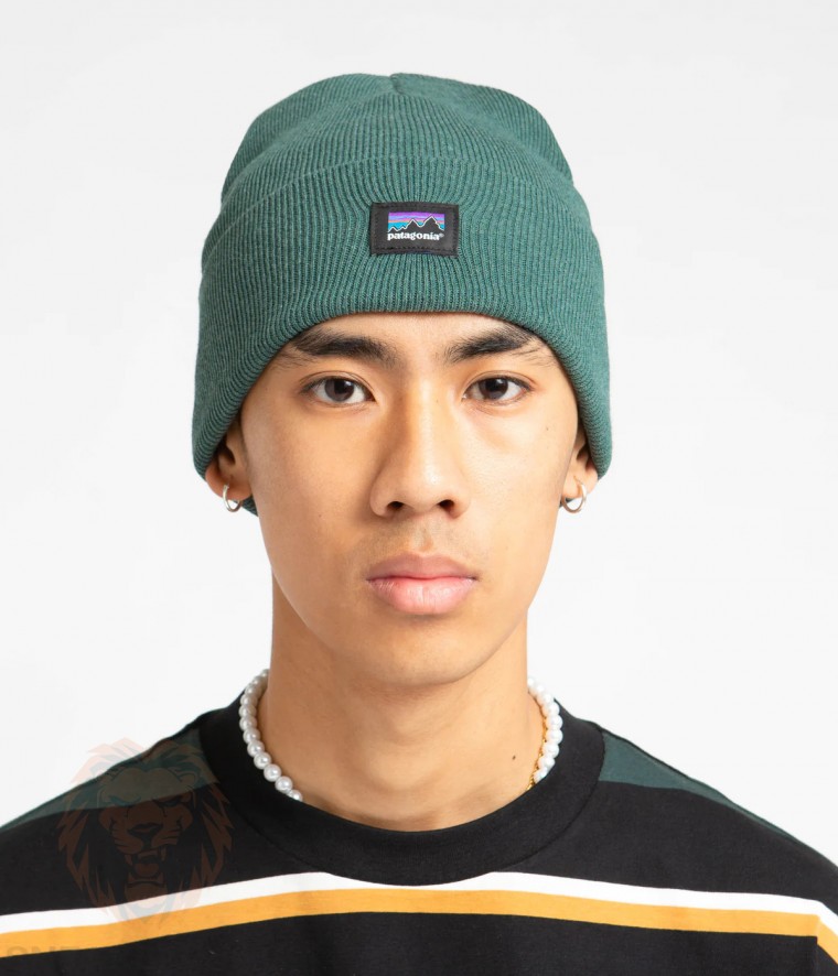 Шапка Patagonia everyday beanie 33430 FA22